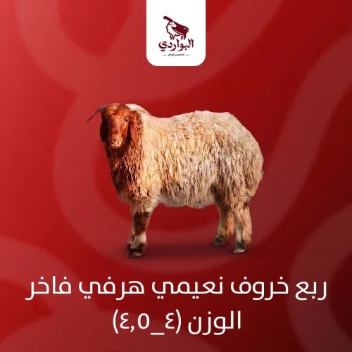 ربع خروف نعيمي هرفي فاخر الوزن (4_4.5)