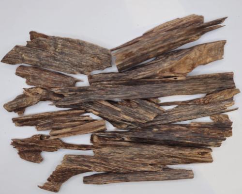 Indian oud Zora natural
