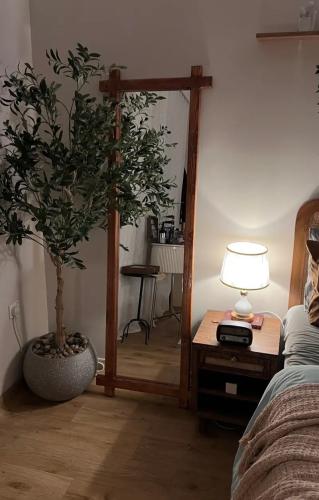 مراية أرضية طويلة من الخشب الطبيعي – فخامة كلاسيكي...