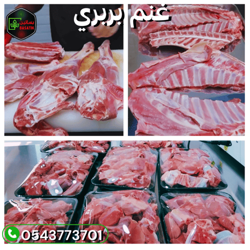 ذبيحة تيس بربري 9 كيلو