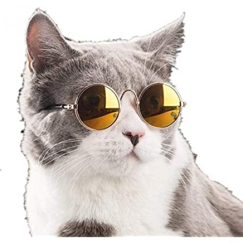 نظارات للقطط والكلاب