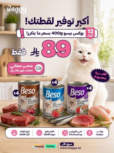 بيسو نكهات متنوعه 12 حبه للقطط البالغه