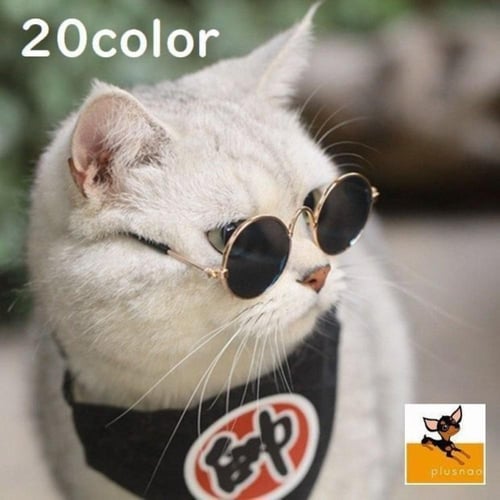 نظارات للقطط والكلاب