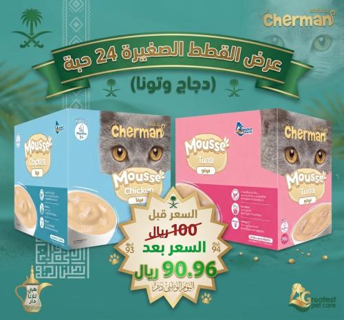 عرض اليوم الوطني للقطط الصغيره 2 كرتون