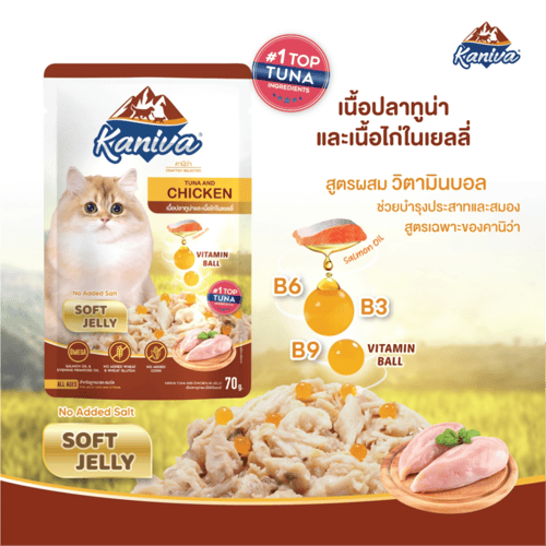 كانيفا اكل قطط رطب بالتونة و الدجاج في الجيلي النا...