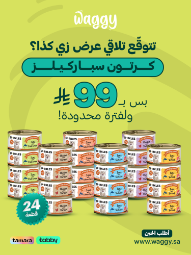 كرتون اسبركليز 24 حبه نكهات مختلفه