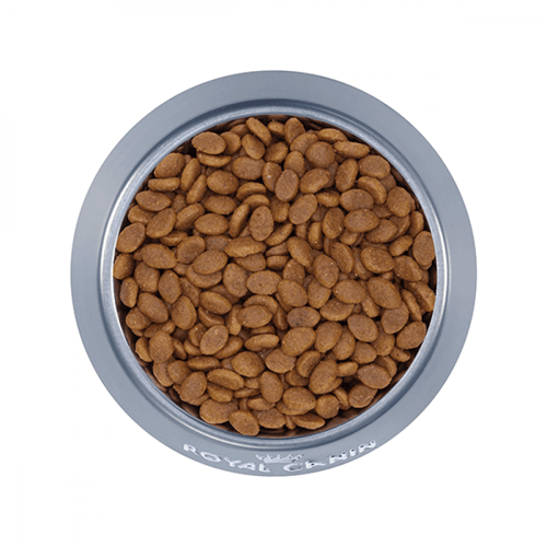 رويال كانين بيرشن اكل جاف للقطط الفارسية 2 كيلو