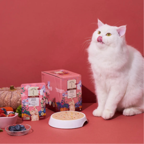 كرتون اكل قطط رطب بالدجاج والسلمون لتعزيز المناعة...