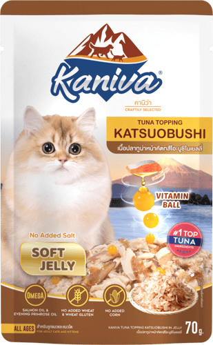 كرتون كانيفا طعام رطب للقطط بالتونة مع الكاتسوبوشي...