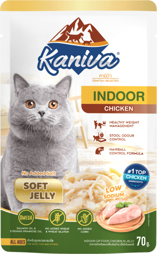 كرتون كانيفا اندور طعام رطب للقطط المنزلية بالدجاج...