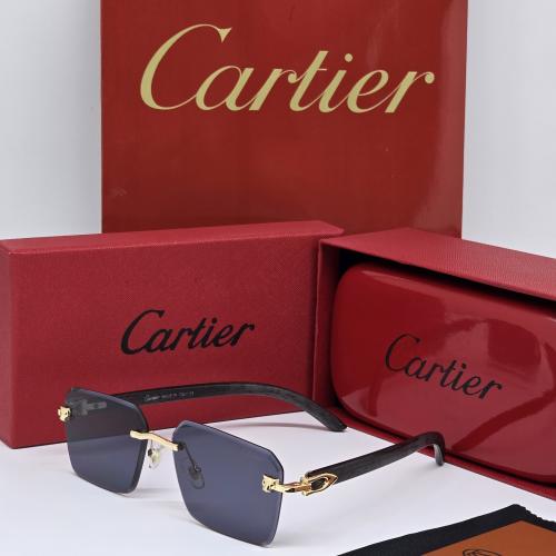 نظاره كارتير