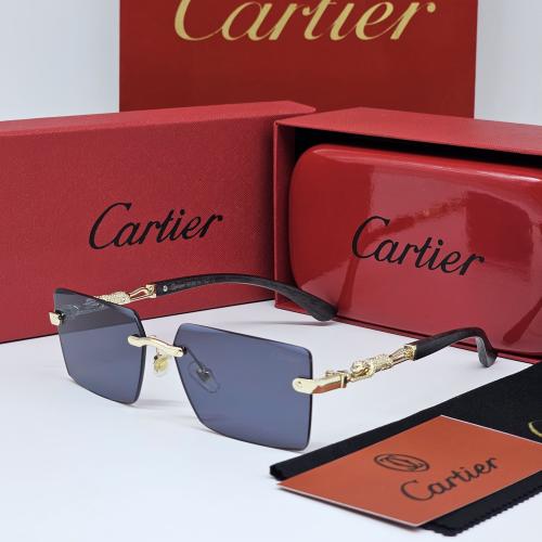 نظاره كارتير مع ملحقات