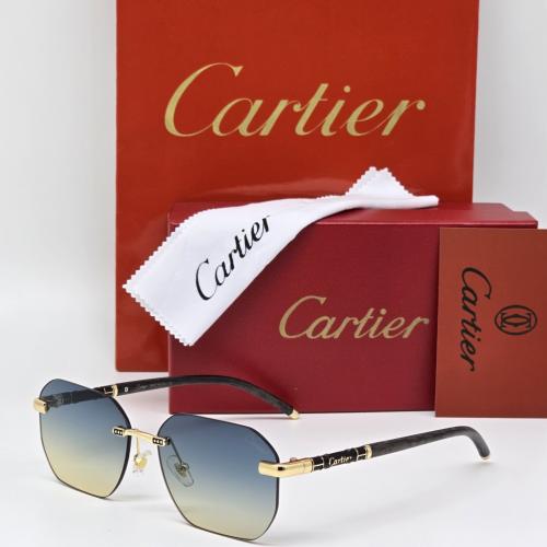 نظاره كارتير