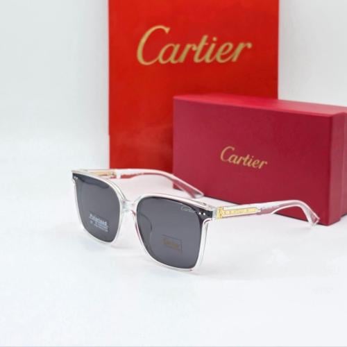 نظاره كارتير