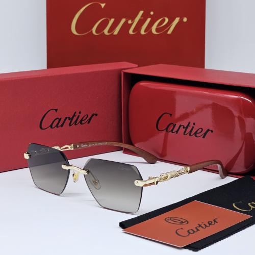 نظاره كارتير