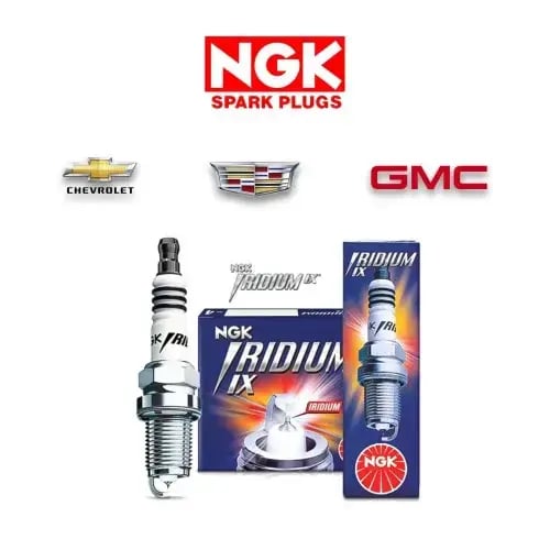 بواجي NGK رياضية TR5