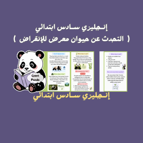 إنجليزي سادس ابتدائي