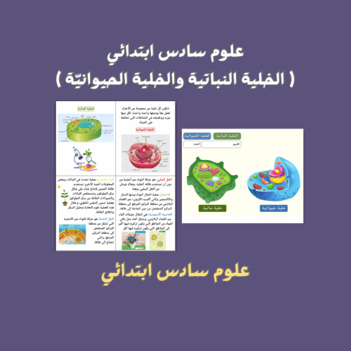 علوم سادس ابتدائي ( الخلية النباتية والخلية الحيوا...