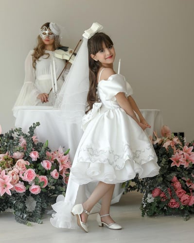 فستان ابيض فاخر بتطريز فضي