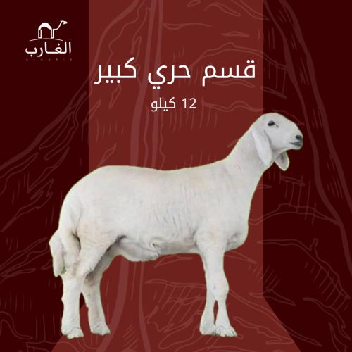 قسم حري كبير