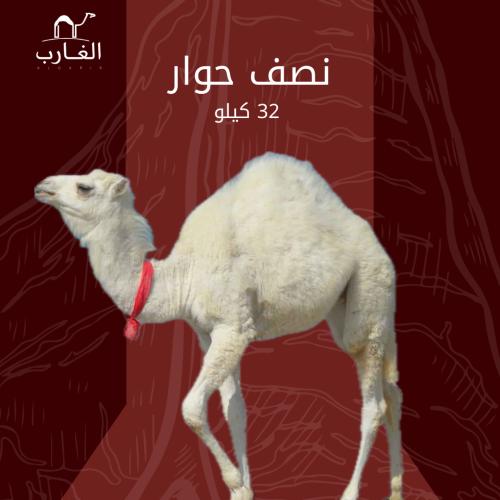 نصف حاشي
