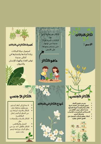 مطوية تكاثر النبات