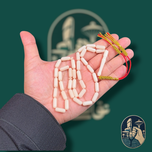 مسباح تراب كهرب صنوبري كركوشة