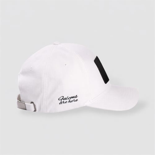 كاب فالكونز باتش