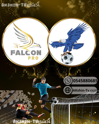 اشتراك لمدة سنة فولتشر + فالكون