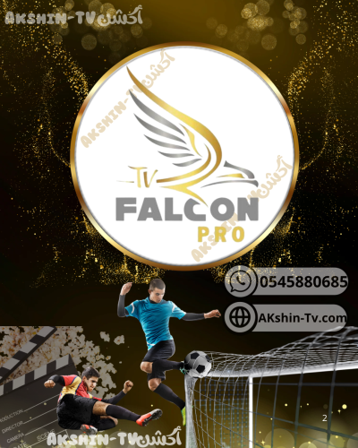 اشتراك فالكون سنة