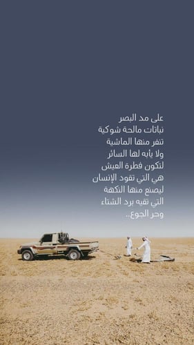 لوح شوكولاتة السمح وتمر حلوة الجوف | الجوف