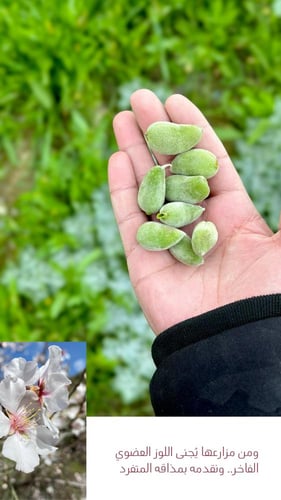 لوح شوكولاتة اللوز المكرمل | الطائف