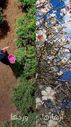 لوح شوكولاتة اللوز المكرمل | الطائف