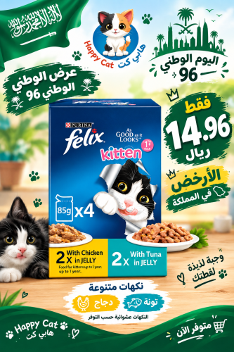 فيليكس كيتن 4 أكياس × 85 جم|نكهات عشوائية
