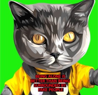 CAT FAKE PEOPLE