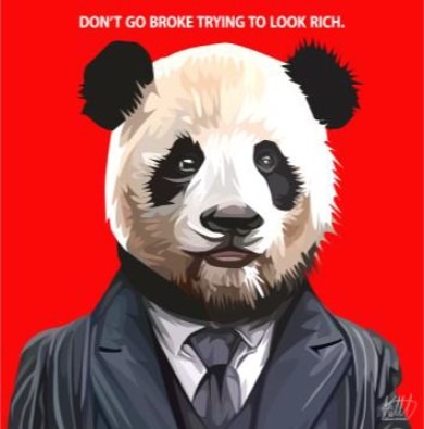 PANDA LOOK RICH