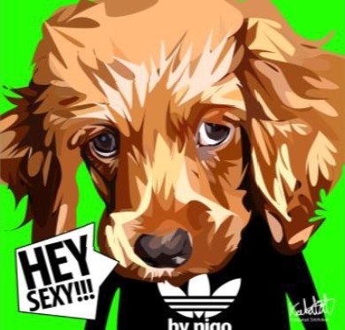 DOGGIE HEY SEXY!