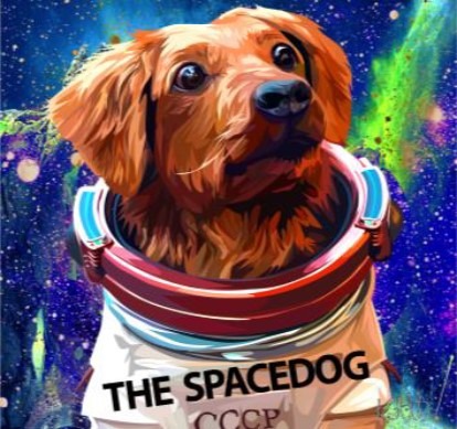 DOGGIE COSMO
