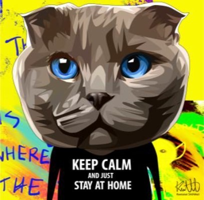 CAT KEEP CALM