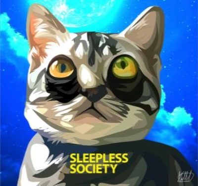 CAT SLEEPLESS