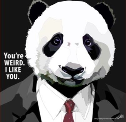 PANDA SUIT