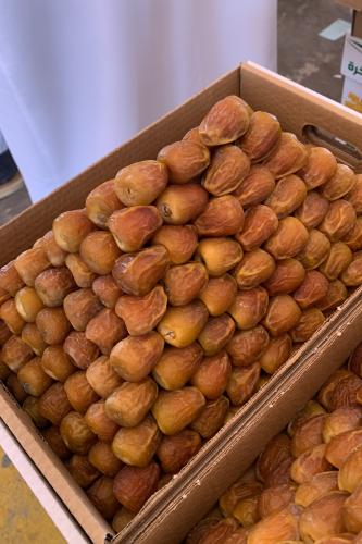 سكري جلكسي هرمي ملكي 7kg تقريبا