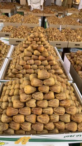سكري مفتل هرمي 6kg تقريبا
