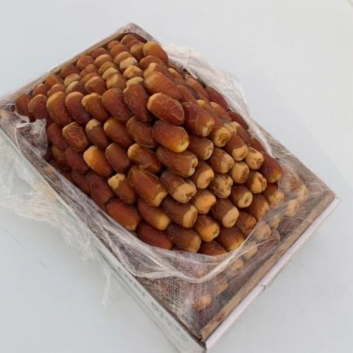 صقعي فاخر الوزن ٥.٥ kg تقريبا