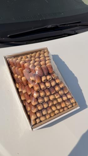 صقعي سوبر ملكي الوزن 6.5kg تقريبا