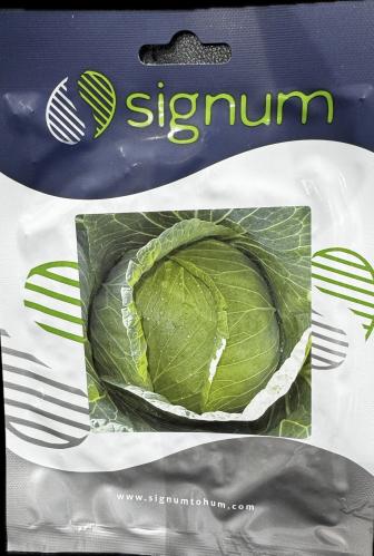 بذور ملفوف تركي 10 جرام