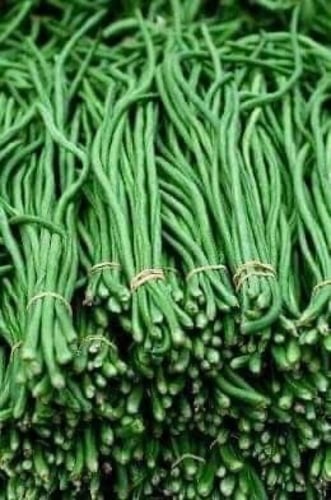 لوبيا توكي لالتير 500 جرام