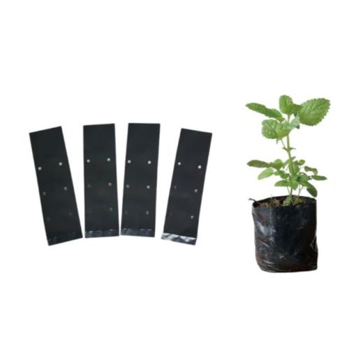 اكياس شتلات مقاس 13*40 السعر للكيلو