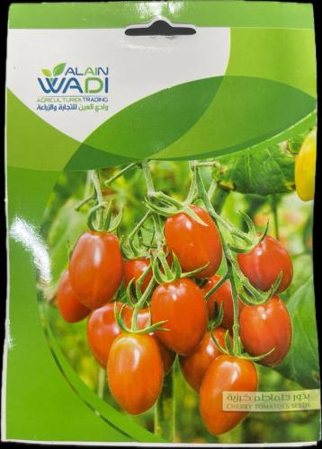 بذور طماطم كرزيه