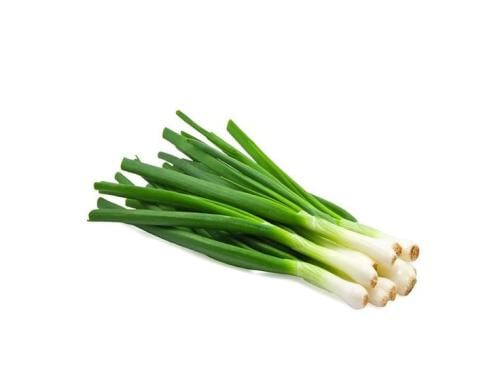 Green onion seeds